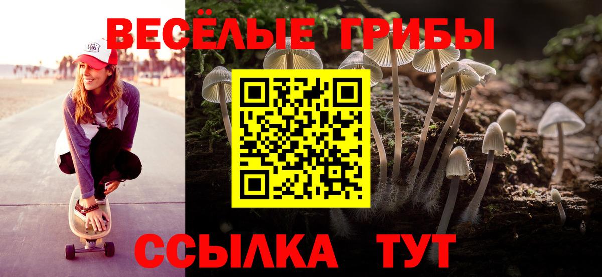 Галлюциногенные грибы Psilocybe  Псилоцибиновые грибы MAGIC MUSHROOMS  Вход с VPN  Спасск-Дальний 