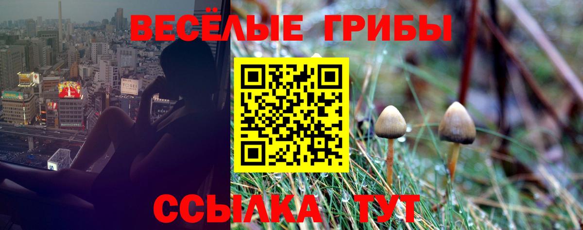 Галлюциногенные грибы GOLDEN TEACHER Спасск-Дальний